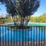  Terreno (Parcela) en venta en Maipo, Santiago, Paine, Maipo
