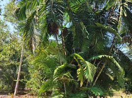  Terrain for sale in Iquitos, Maynas, Iquitos