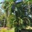  Land for sale in Iquitos, Loreto, Iquitos, Maynas, Loreto
