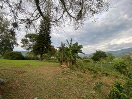 3 Habitación Casa en venta en Pereira, Risaralda, Pereira