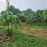  Land for sale in Bogor, West Jawa, Sawangan, Bogor