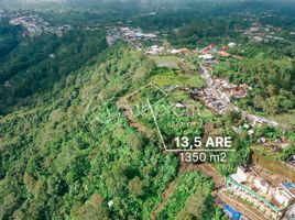  Land for sale in Bangli, Bali, Kintamani, Bangli