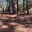  Terreno (Parcela) en venta en Atemajac De Brizuela, Jalisco, Atemajac De Brizuela