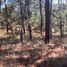  Terreno (Parcela) en venta en Atemajac De Brizuela, Jalisco, Atemajac De Brizuela