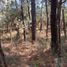  Terreno (Parcela) en venta en Atemajac De Brizuela, Jalisco, Atemajac De Brizuela