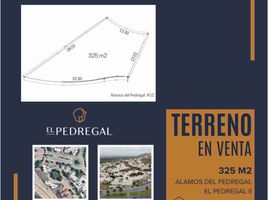  Grundstück zu verkaufen in San Luis Potosi, San Luis Potosi, San Luis Potosi, San Luis Potosi