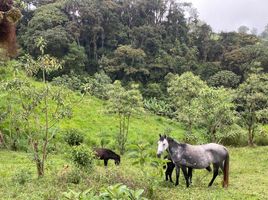  Villa for sale in Gualea, Quito, Gualea