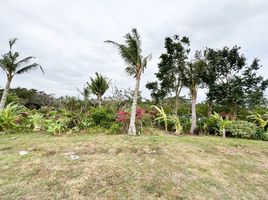  Land for sale in Calamba City, Calabarzon, Calamba City