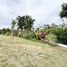  Land for sale in Calamba City, Calabarzon, Calamba City