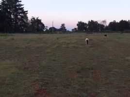  Land for sale in Omitlan De Juarez, Hidalgo, Omitlan De Juarez