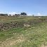  Land for sale in Penjamo, Guanajuato, Penjamo