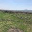  Land for sale in Penjamo, Guanajuato, Penjamo