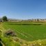  Land for sale in Paucarpata, Arequipa, Paucarpata, Arequipa, Arequipa