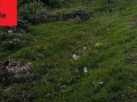  Terreno (Parcela) en venta en Lapu-Lapu City, Central Visayas, Lapu-Lapu City, Cebu