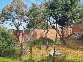  Land for sale in Alvaro Obregon, Mexico City, Alvaro Obregon, Mexico City