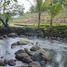  Grundstück zu verkaufen in Tabanan, Bali, Penebel, Tabanan, Bali