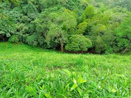  Terreno (Parcela) en venta en Guayabal De Siquima, Cundinamarca, Guayabal De Siquima