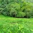  Land for sale in Guayabal De Siquima Cundinamarca, Guayabal De Siquima