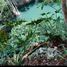  Land for sale in Temozon, Yucatan, Temozon