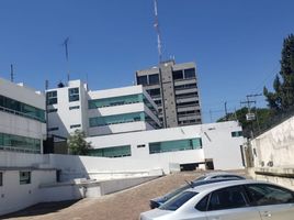 62 SqM Office for rent in Puebla, San Andres Cholula, Puebla