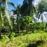  Terreno (Parcela) en venta en Loon, Central Visayas, Loon