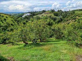  Land for sale in El Santuario, Antioquia, El Santuario