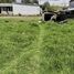  Land for sale in Tabacundo, Pichincha, Tabacundo, Pedro Moncayo