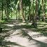  Land for sale in Island Garden Samal City, Davao, Island Garden Samal City, Davao del Norte, Davao