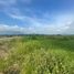  Terreno (Parcela) en venta en Calamba City, Calabarzon, Calamba City, Laguna