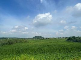  Terreno (Parcela) en venta en Calamba City, Calabarzon, Calamba City, Laguna