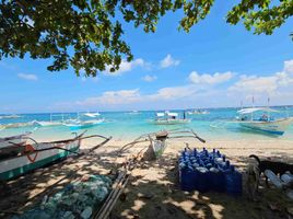  Land for sale in Santa Fe, Cebu, Santa Fe