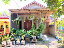 2 Bedroom House for sale in Sragen, Jawa Tengah, Mondokan, Sragen