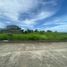  Land for sale at Amara, Liloan