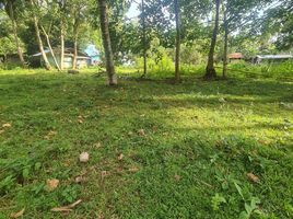  Terrain for sale in Davao del Norte, Davao, Island Garden Samal City, Davao del Norte