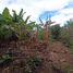  Land for sale in Popayan, Cauca, Popayan