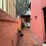 2 Schlafzimmer Haus zu verkaufen in Tultitlan, Mexico, Tultitlan