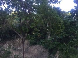  Terreno (Parcela) en venta en Cebu City, Central Visayas, Cebu City, Cebu, Central Visayas, Filipinas