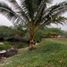  Land for sale in Muisne, Esmeraldas, Muisne, Muisne