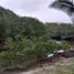  Land for sale in Muisne, Esmeraldas, Muisne, Muisne