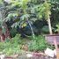  Terreno (Parcela) en venta en Consolacion, Central Visayas, Consolacion, Cebu