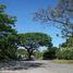  Land for sale in Muntinlupa City, Metro Manila, Muntinlupa City