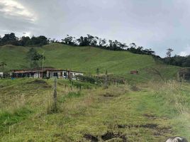 3 Bedroom Villa for sale in Abejorral, Antioquia, Abejorral