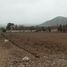  Land for sale in Pachacamac, Lima, Pachacamac, Lima, Lima
