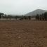  Land for sale in Pachacamac, Lima, Pachacamac, Lima, Lima