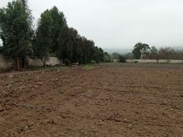  Land for sale in Pachacamac, Lima, Pachacamac, Lima, Lima