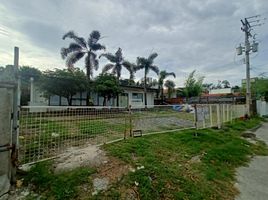  Grundstück zu vermieten in Cebu City, Central Visayas, Cebu City, Cebu, Central Visayas