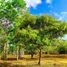  Land for sale in Buenavista, Western Visayas, Buenavista, Guimaras
