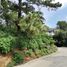  Land for sale in Baguio City, Cordillera, Baguio City, Benguet