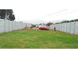  Grundstück zu verkaufen in Lurin, Lima, Lurin, Lima, Lima, Peru