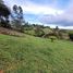  Land for sale in Guarne, Antioquia, Guarne